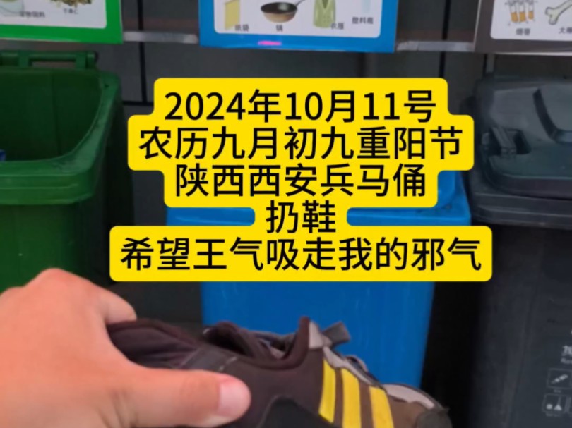 2024年10月11号农历九月初九重阳节,扔鞋,避邪.哔哩哔哩bilibili