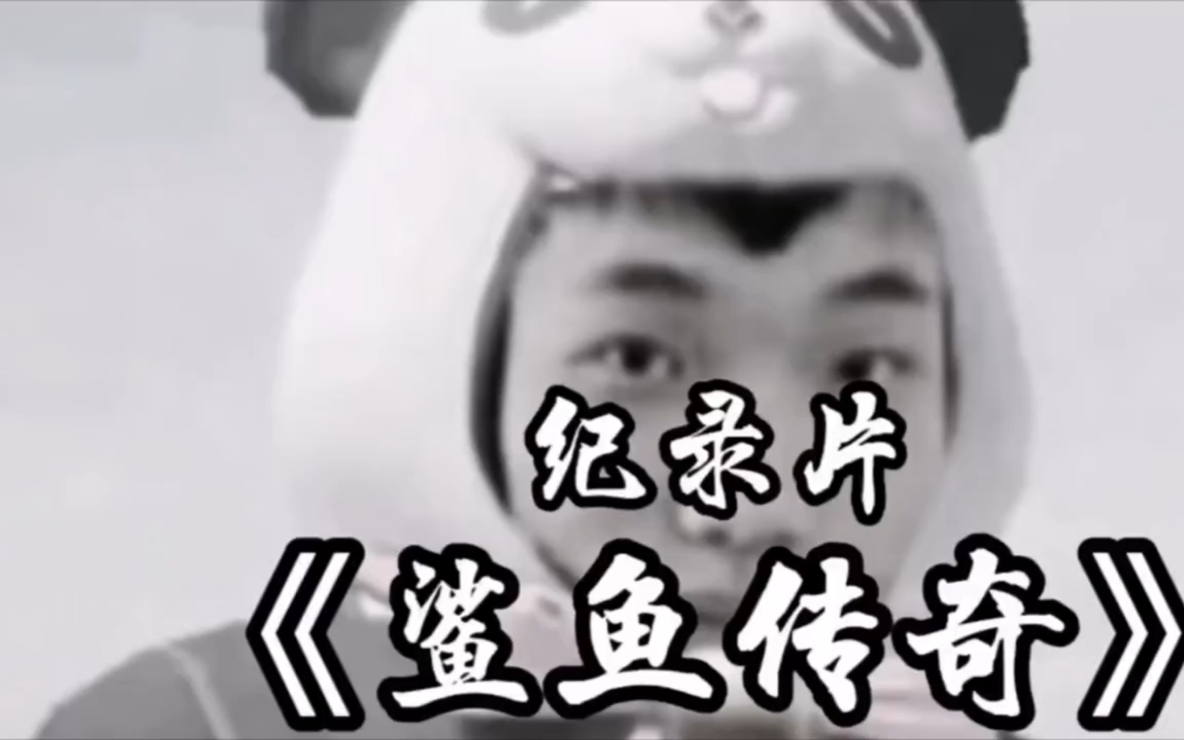 《鲨鱼传奇》为你持续播出