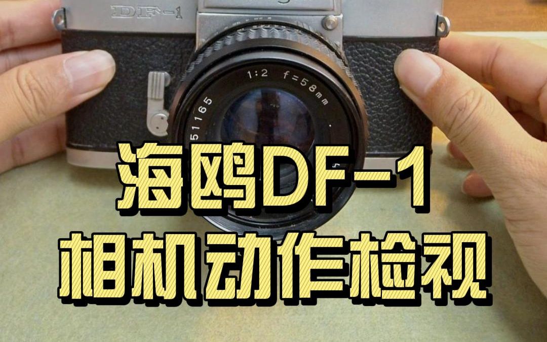 第一集|多巴胺相机检视|海鸥DF1哔哩哔哩bilibili