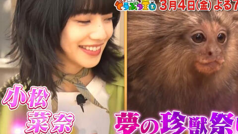 中字 忍住不准笑2302 小松菜奈 坂口健太郎到山形县高畠町宣传电影 哔哩哔哩