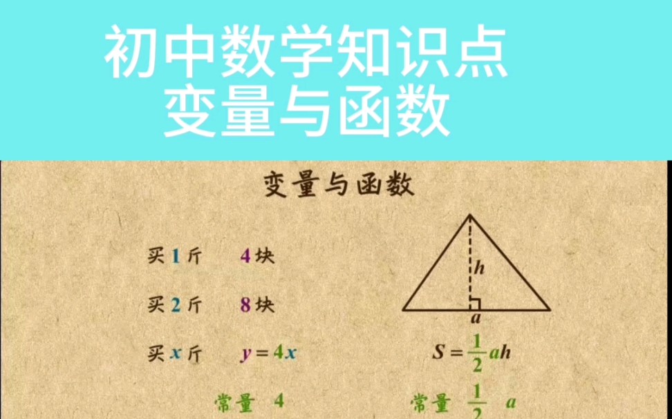 初中数学知识点变量与函数看完这个动画数学也没有那么难#初中数学 #变量与函数 #看完这个动画数学也没有那么难哔哩哔哩bilibili