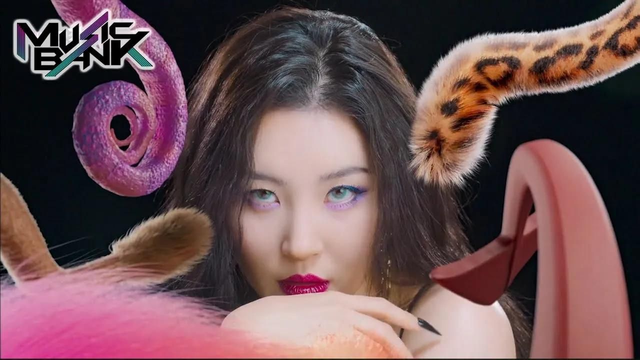 3年前!宣美《tail》打歌舞台 采访 4k直拍合集 210226