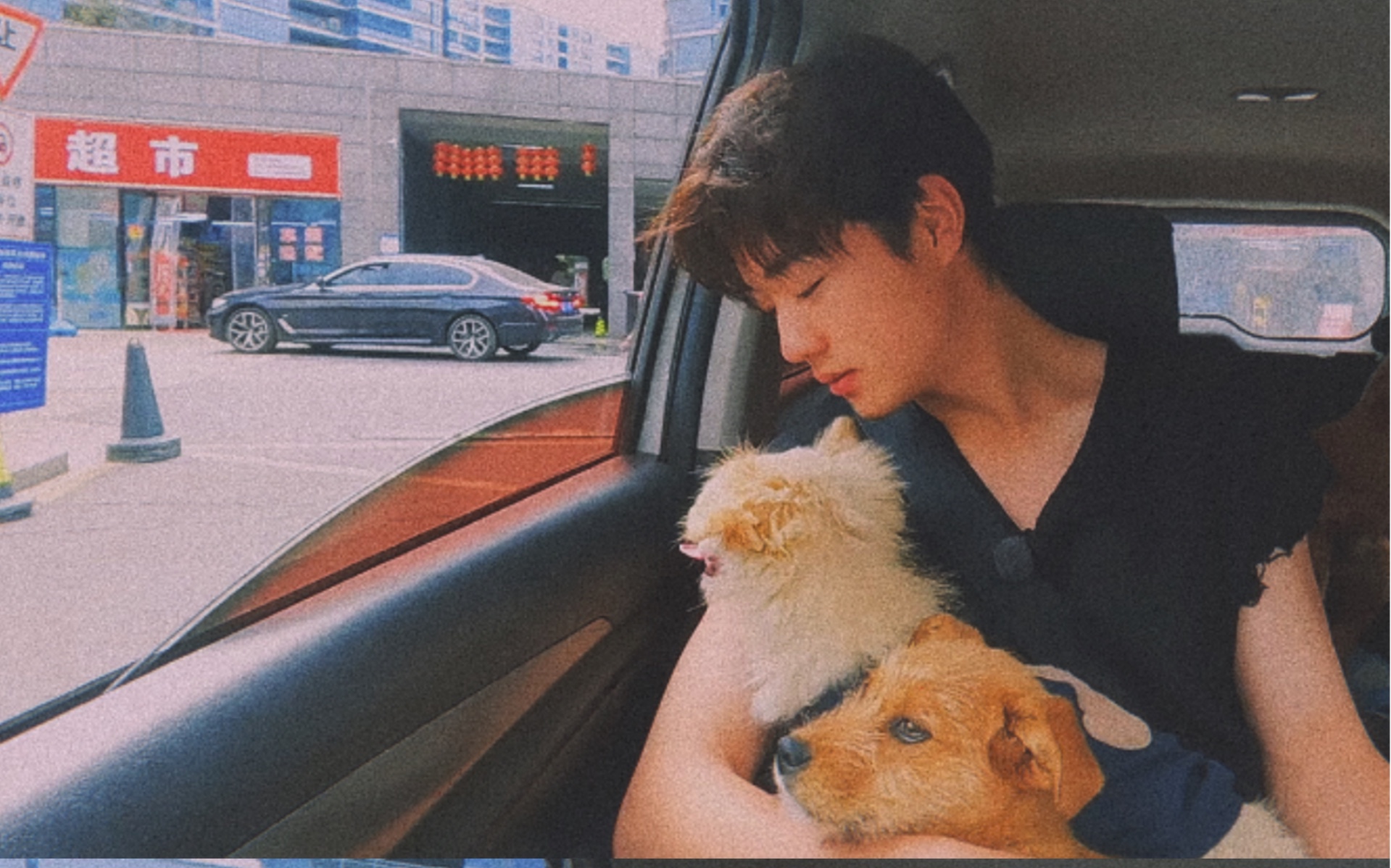 【陈少熙】"我开饭它也开饭呗""我什么虾塘主啊