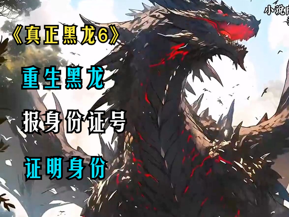 《真正黑龙6》夏国境内突然闯入一条邪恶黑龙.一口气看到爽!
