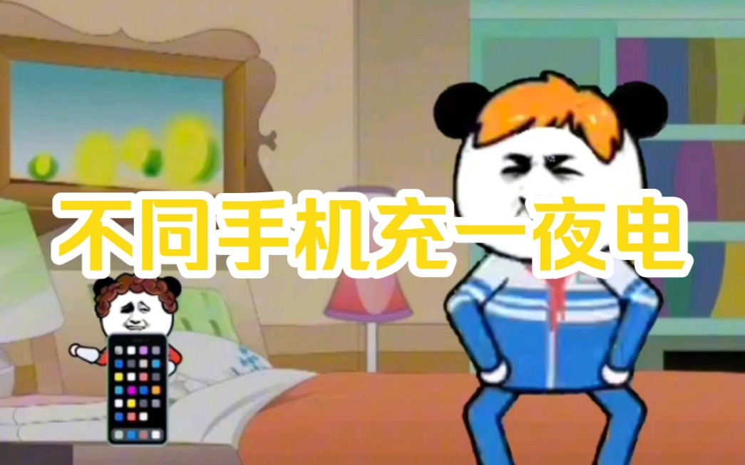 不同手机充一夜电哔哩哔哩bilibili