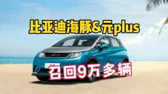 Tải video: 比亚迪海豚元plus宣布召回，共9万多辆你的在列吗？