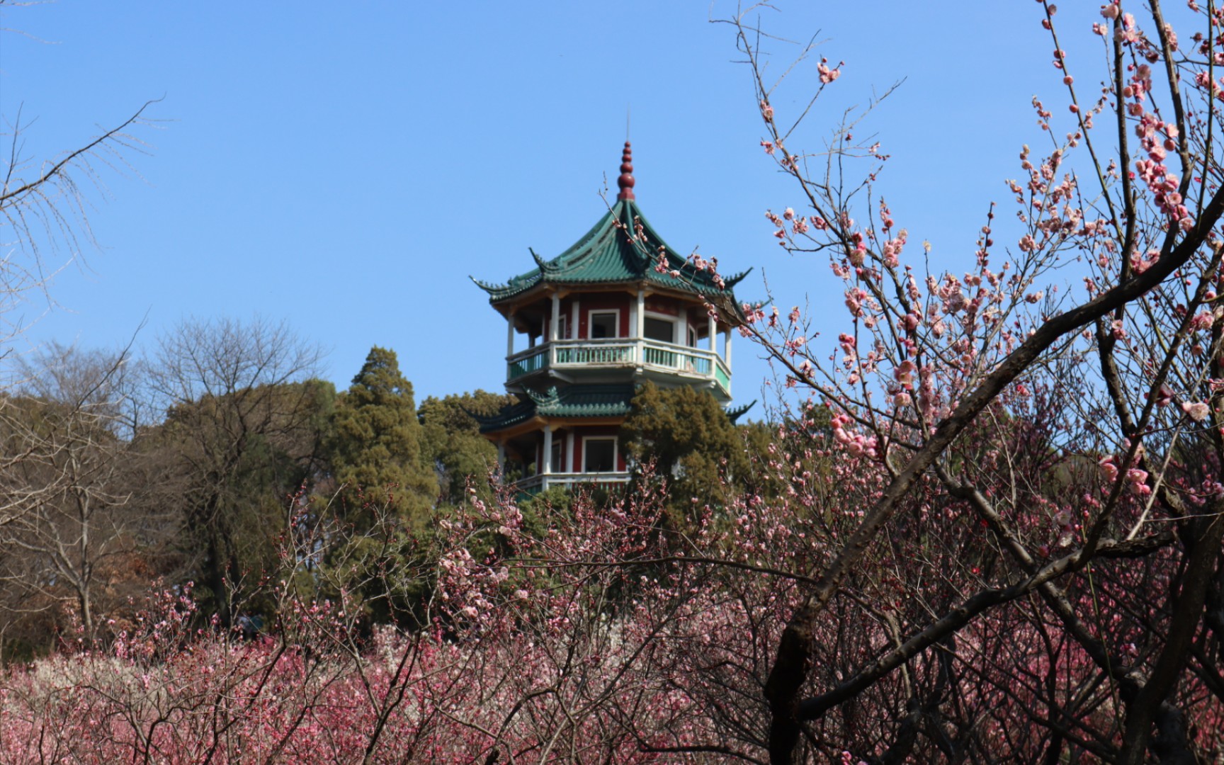 无锡梅园开原寺图片