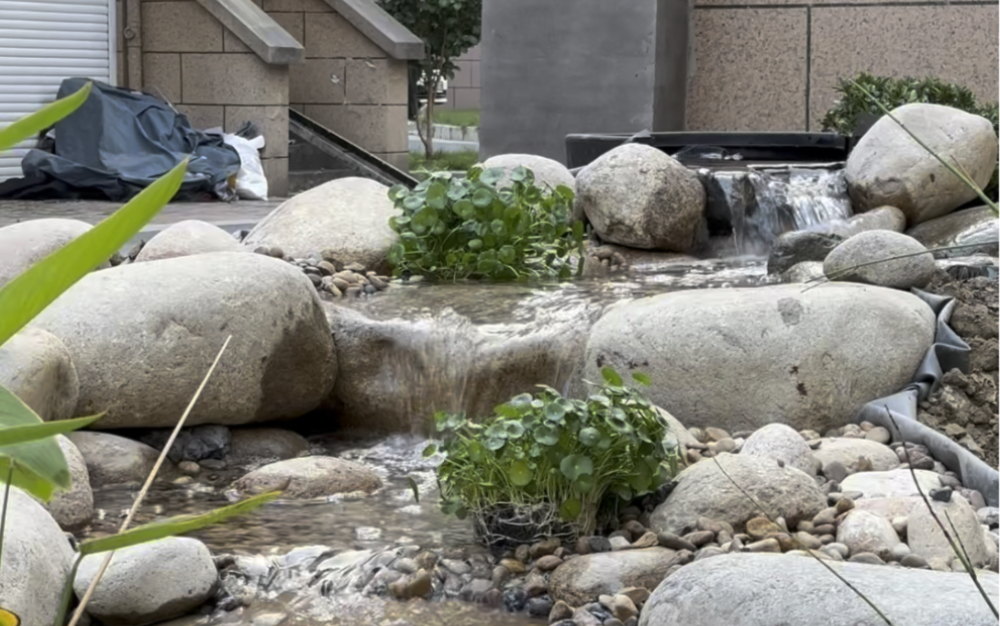 6平米的生态鱼池制作过程