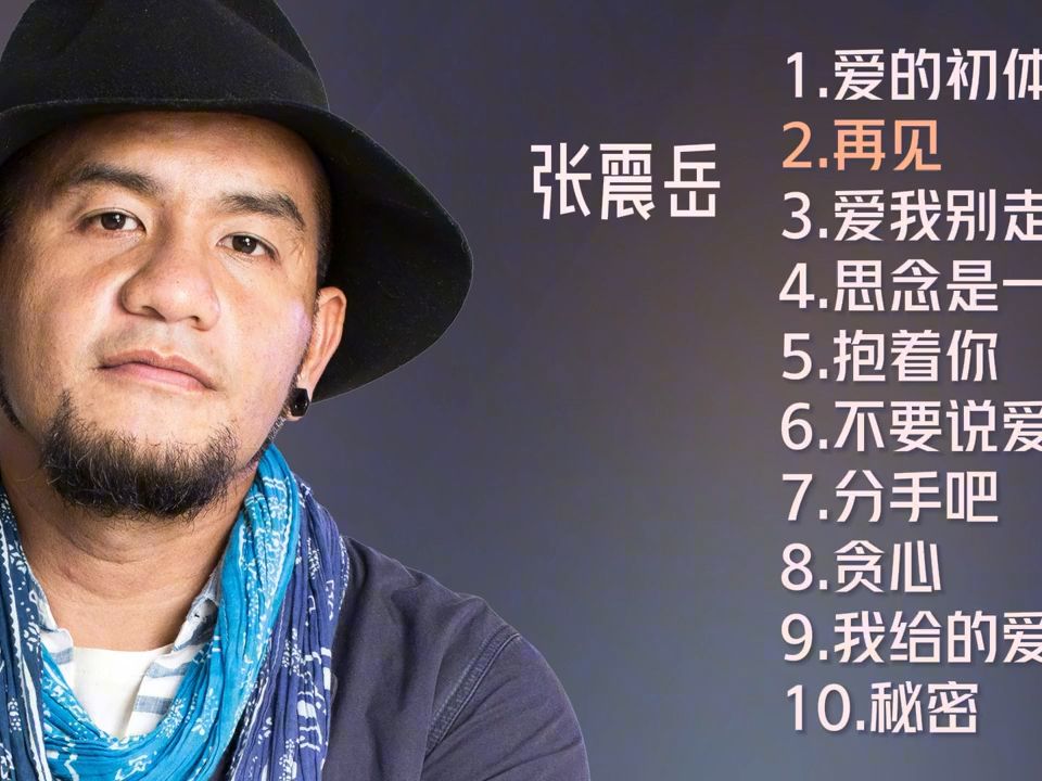 张震岳十首推荐歌曲《爱的初体验》《再见》《爱我别走》