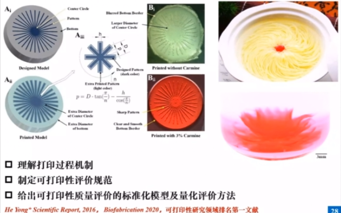 20201116浙江大学贺永生物3D打印:从器官模型构建到组织修复哔哩哔哩bilibili