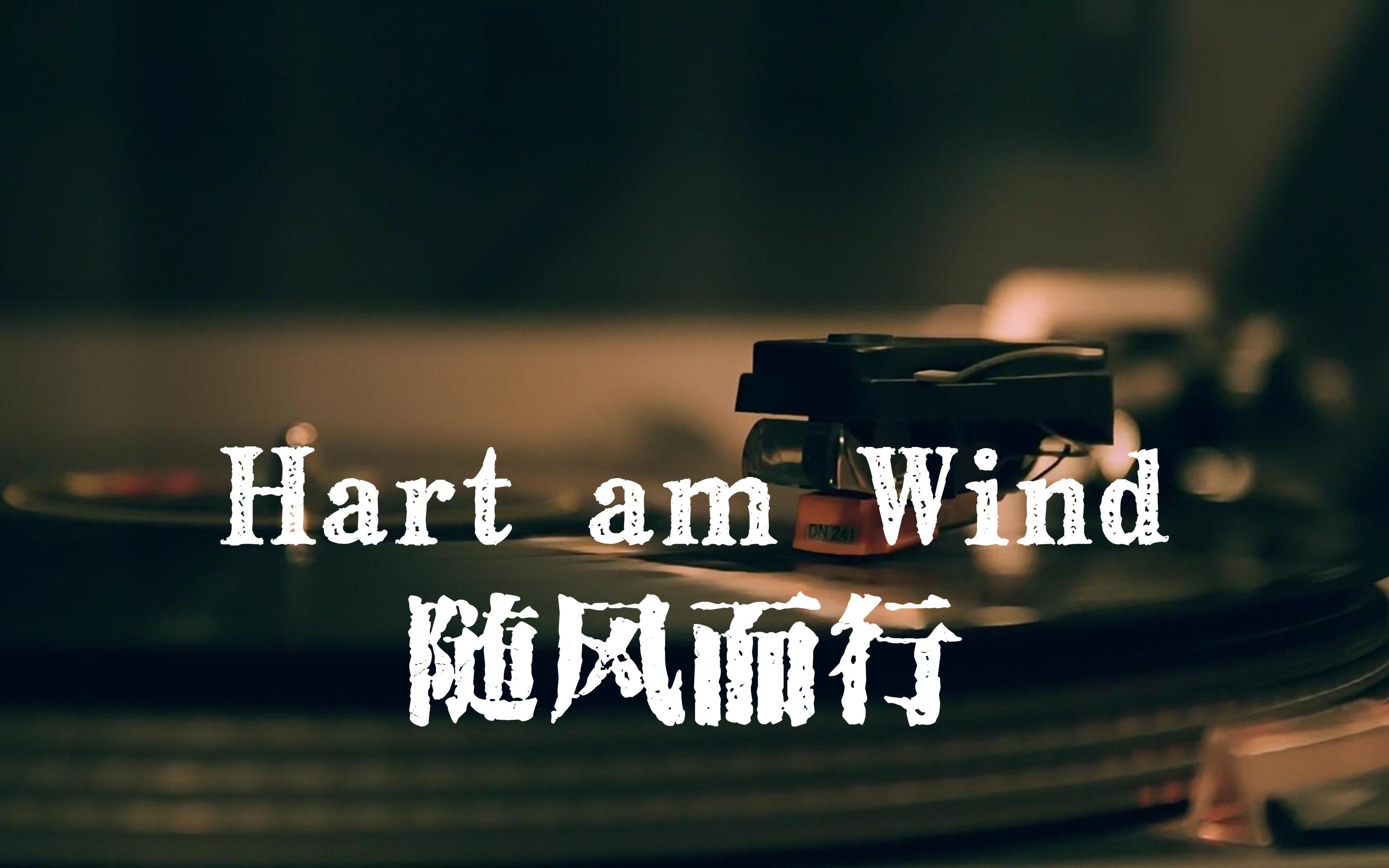 Hart am Wind/随风而行/全力以赴Santiano【中德字幕】哔哩哔哩bilibili