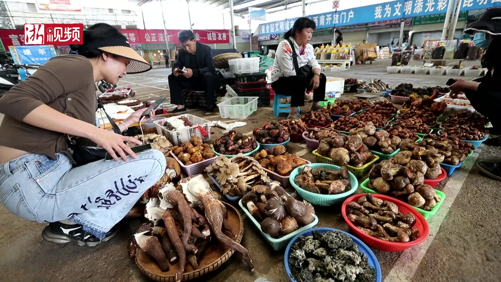 昆明:云南木水花野生菌交易中心野生菌大量上市