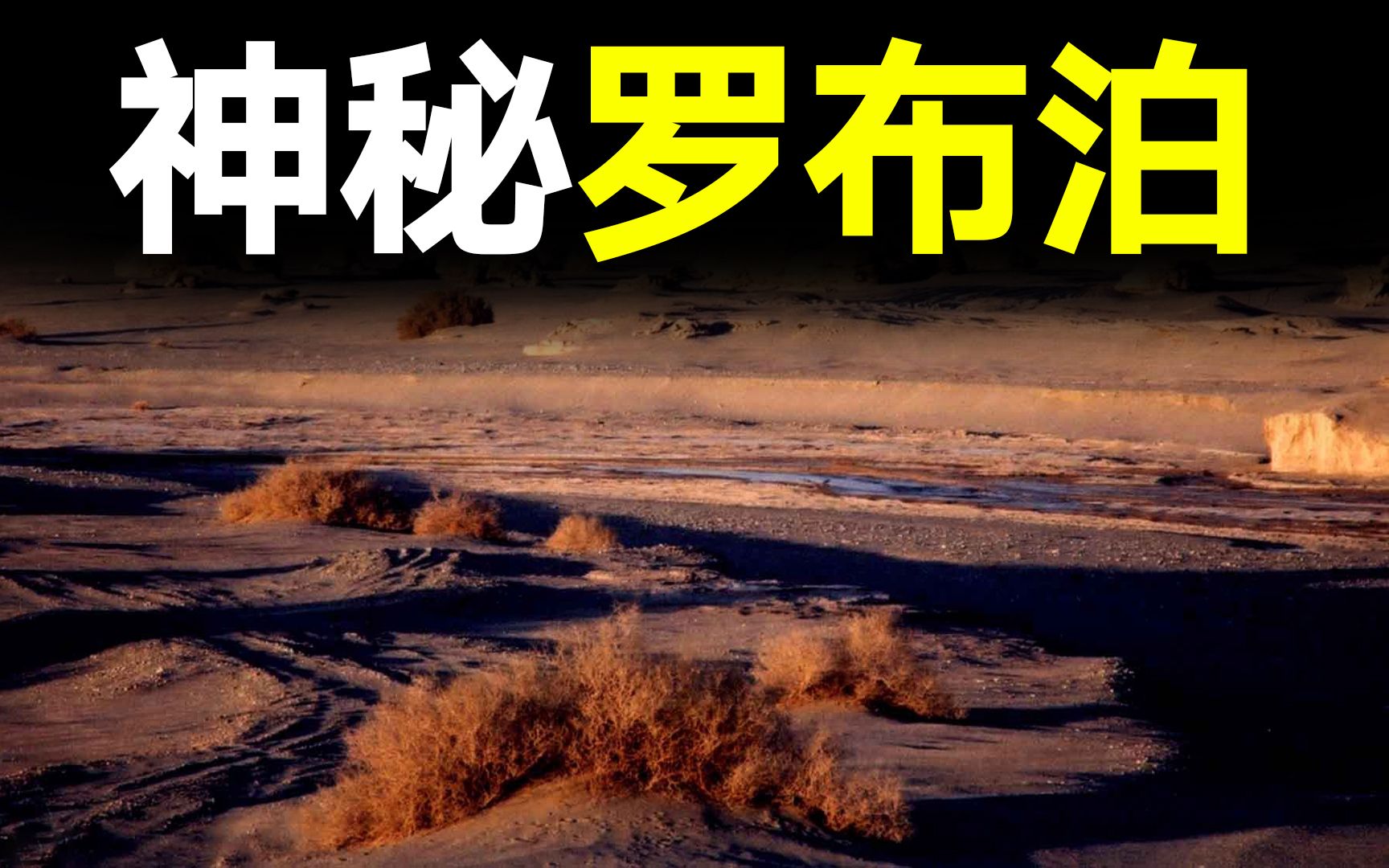 科考队长彭加木神秘失踪,"地球之耳"罗布泊,究竟有什么秘密_哔哩哔哩