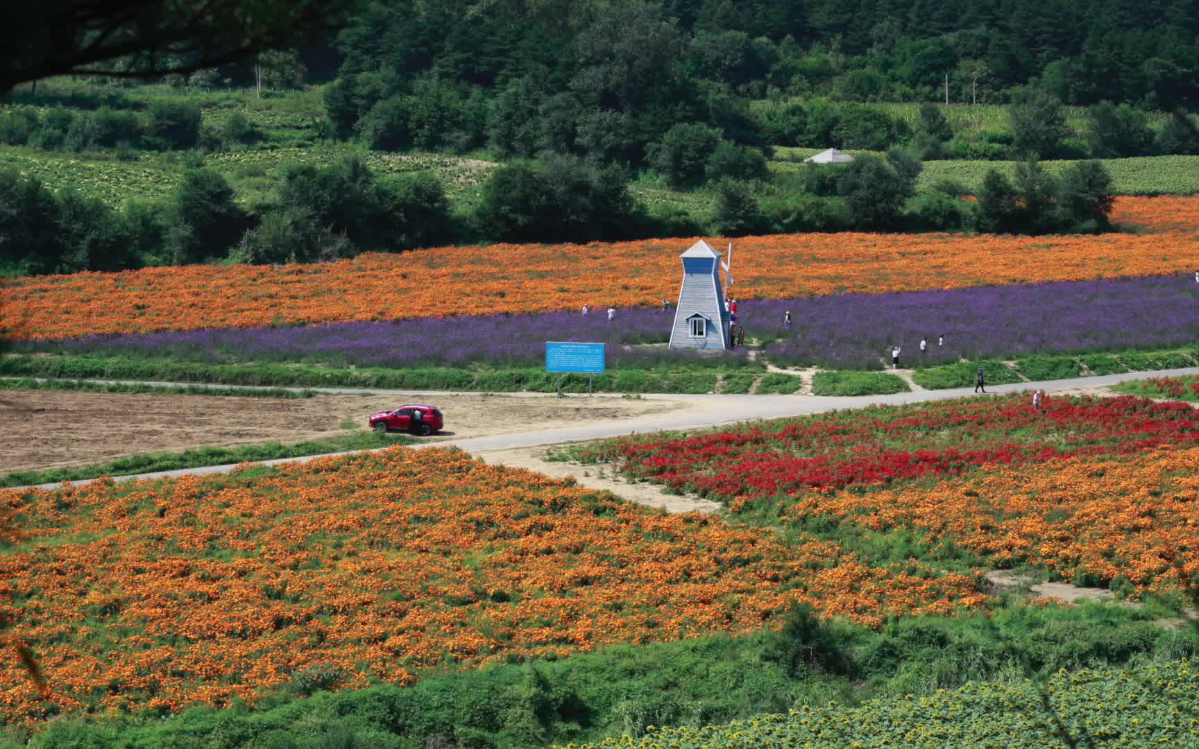 北京延庆四季花海