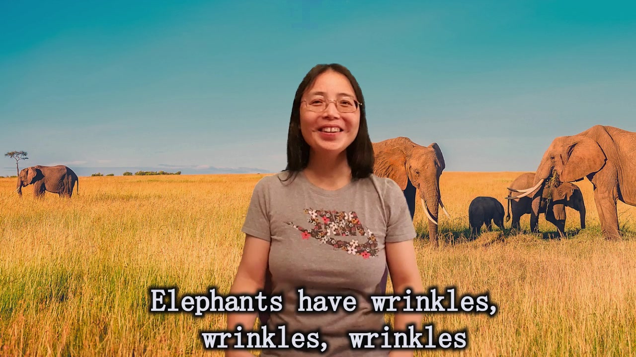 Elephants Have Wrinkles 大象有皱纹 (鹅妈妈中英文早教:儿歌)哔哩哔哩bilibili