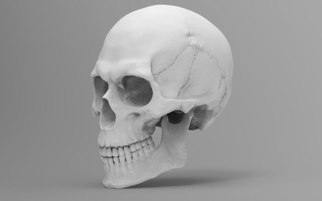 zbrush_骷髅雕刻_哔哩哔哩_bilibili