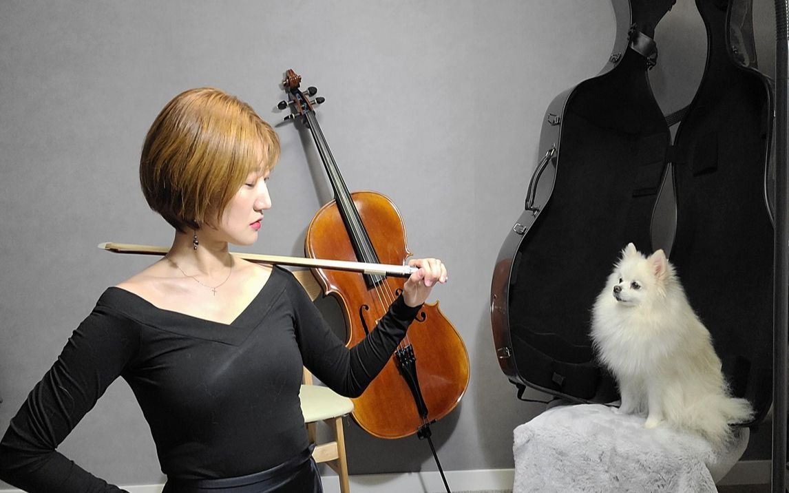 【双大提琴】《紅蓮華》鬼灭之刃op,dna在燃烧!