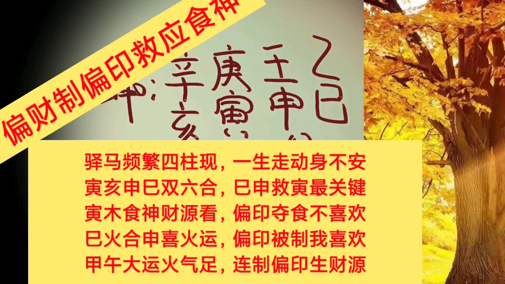 食神格遇偏印夺食,必须走财运解局,否则就是申克寅,手术伤灾.哔哩哔哩bilibili