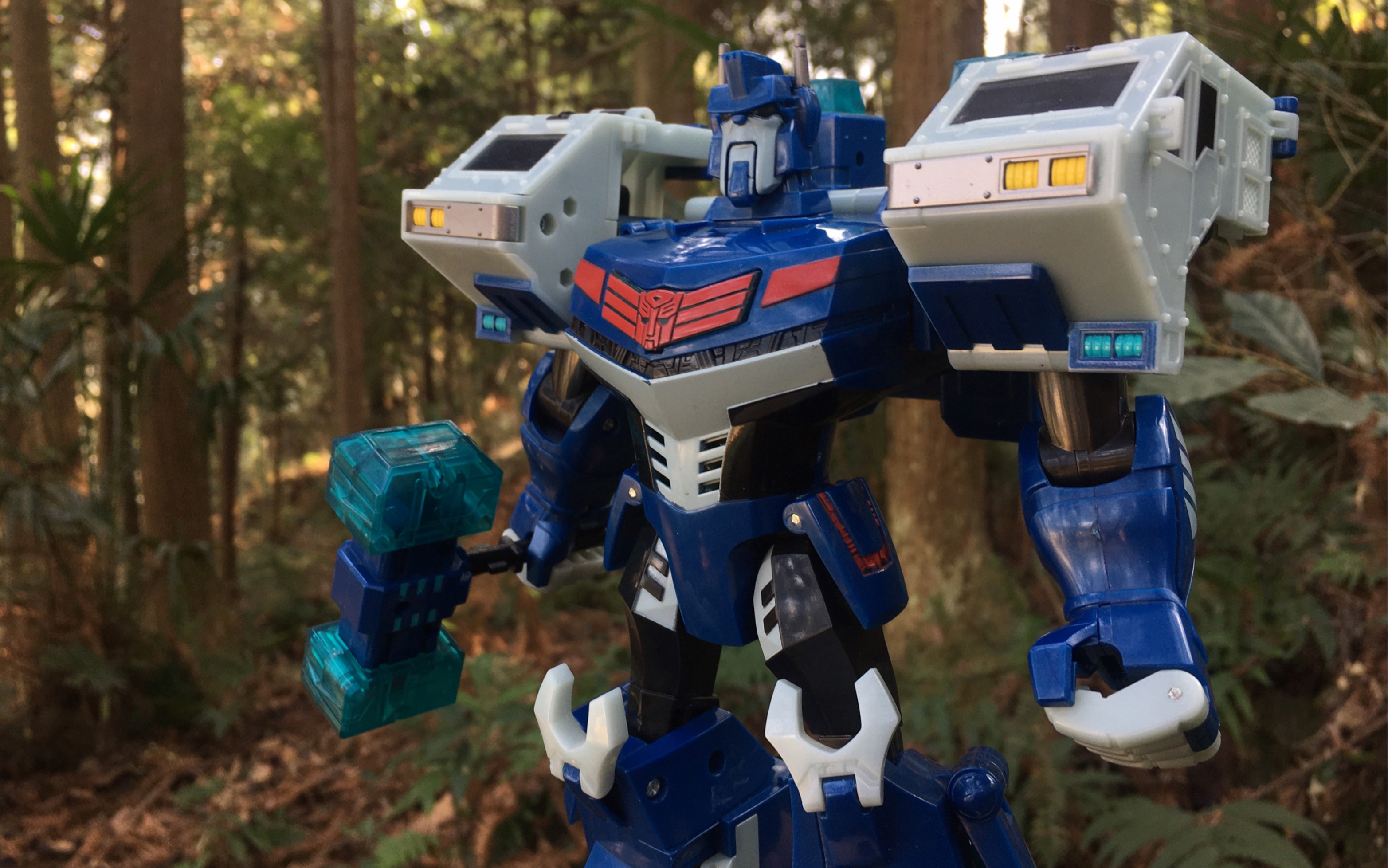 08动画 l级通天晓_哔哩哔哩_bilibili