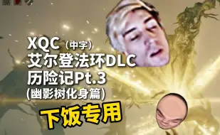 Download Video: 【中字】xQc艾尔登法环DLC历险记Pt.3（幽影树化身篇）