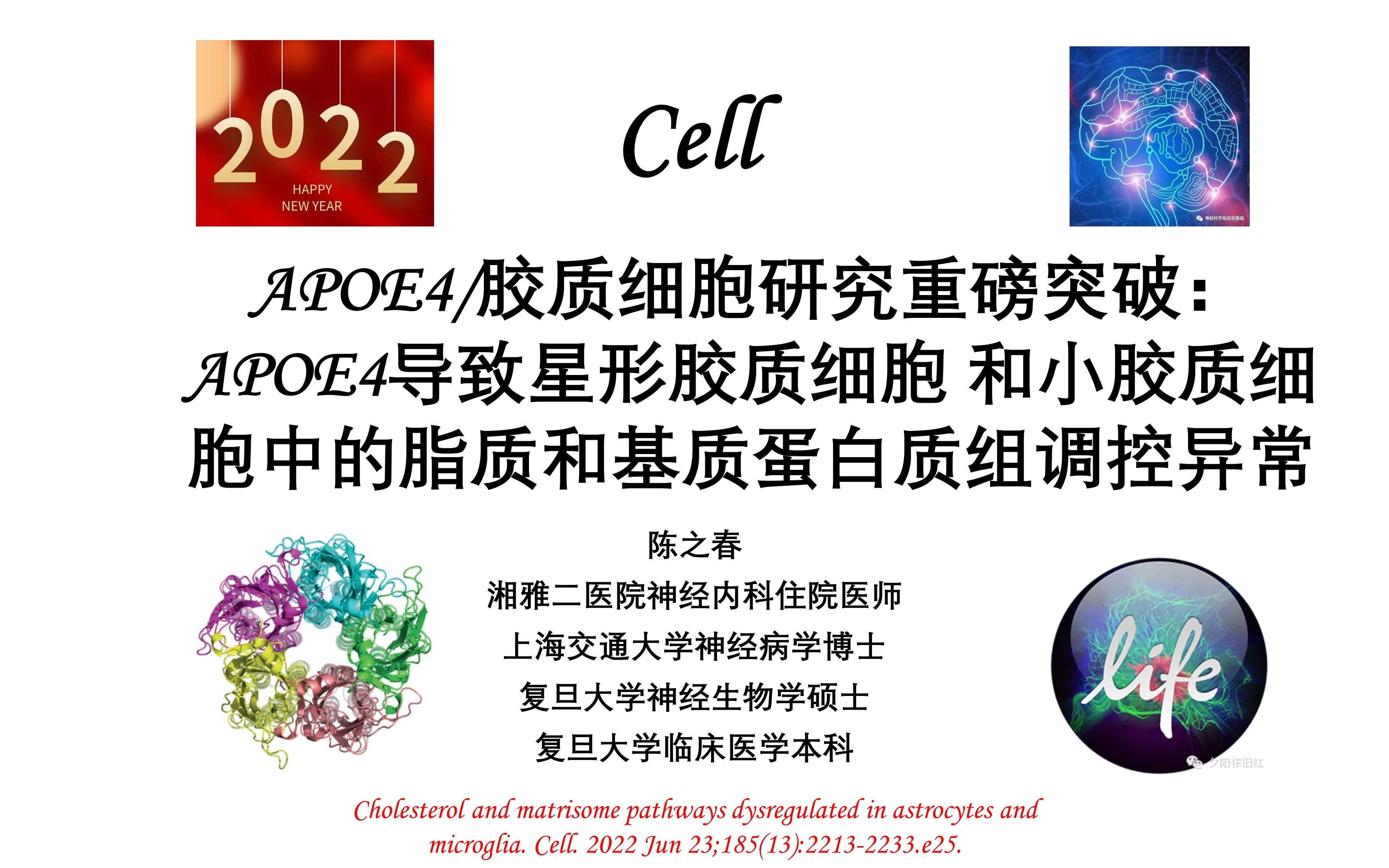 Cell—APOE4/胶质细胞研究重磅突破:APOE4导致星形胶质细胞和小胶质细胞中的脂质和基质蛋白质组调控异常哔哩哔哩bilibili