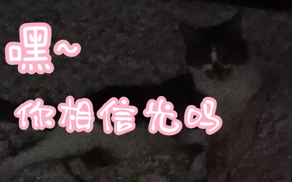 嘿你相信光吗