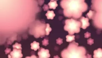 用代码写樱花哦