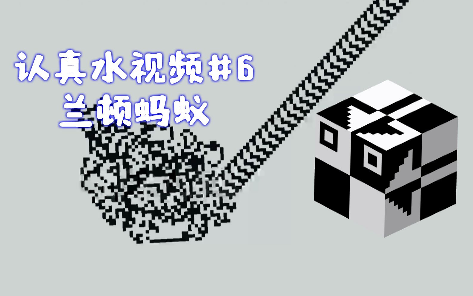 兰顿蚂蚁最终的形状竟然代表了这个认真水视频6兰顿蚂蚁