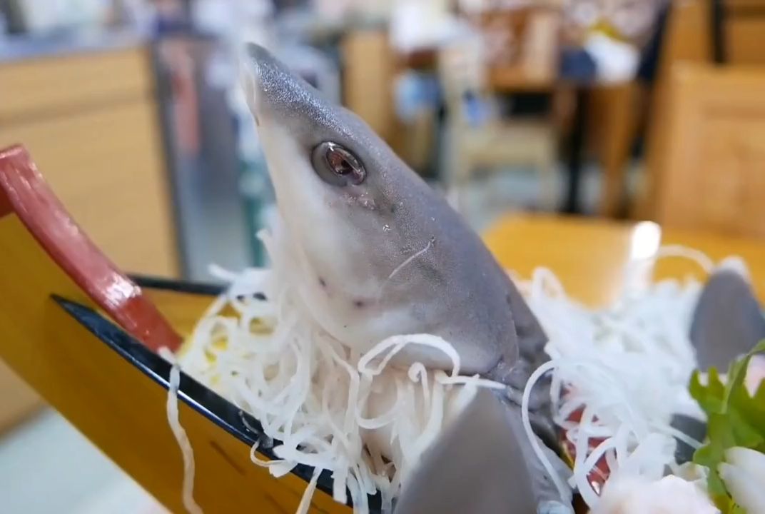 日式料理美食鲨鱼刺身,万物都可刺身的日本,不知何时挑战下肥肠刺身