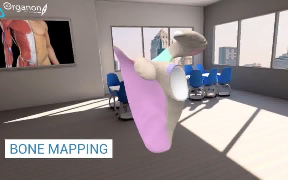 [图]Quest2游戏:《3D Organon VR 人体解剖学》3d organon anatomy 2021(@QG虚拟现实)