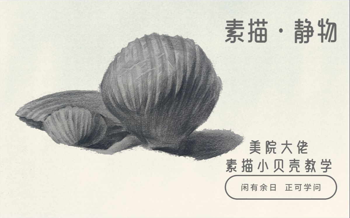 素描新手联盟素描静物贝壳夏天已经快要过去有机会一定要抽时间去海边