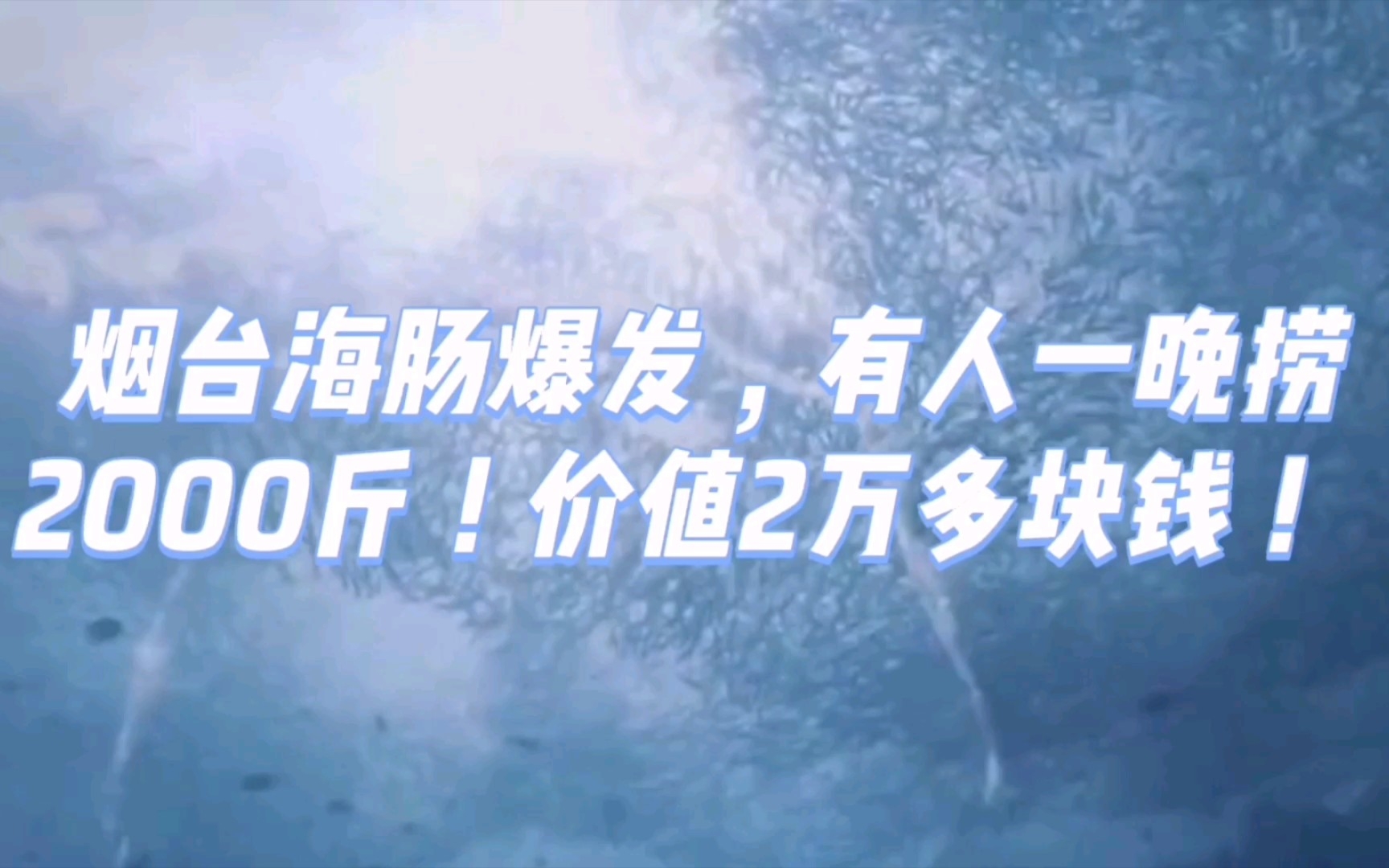 烟台海肠爆发,有人一晚捞2000斤!价值2万多块钱!哔哩哔哩bilibili