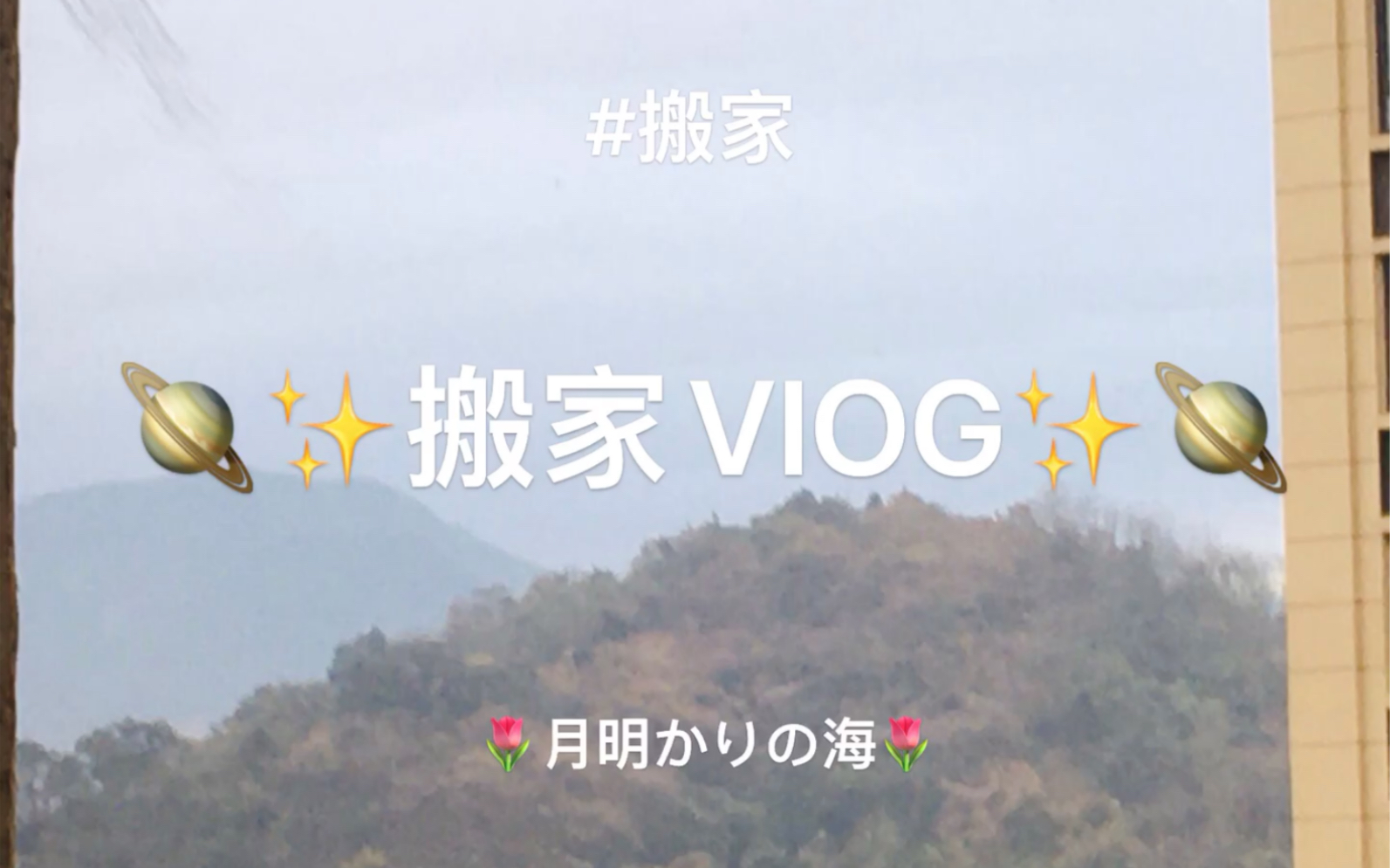 𐟪𐟪搬家VIOG𐟪𐟪哔哩哔哩bilibili