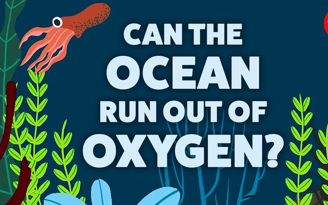 ted-ed | can the ocean run out of oxygen?