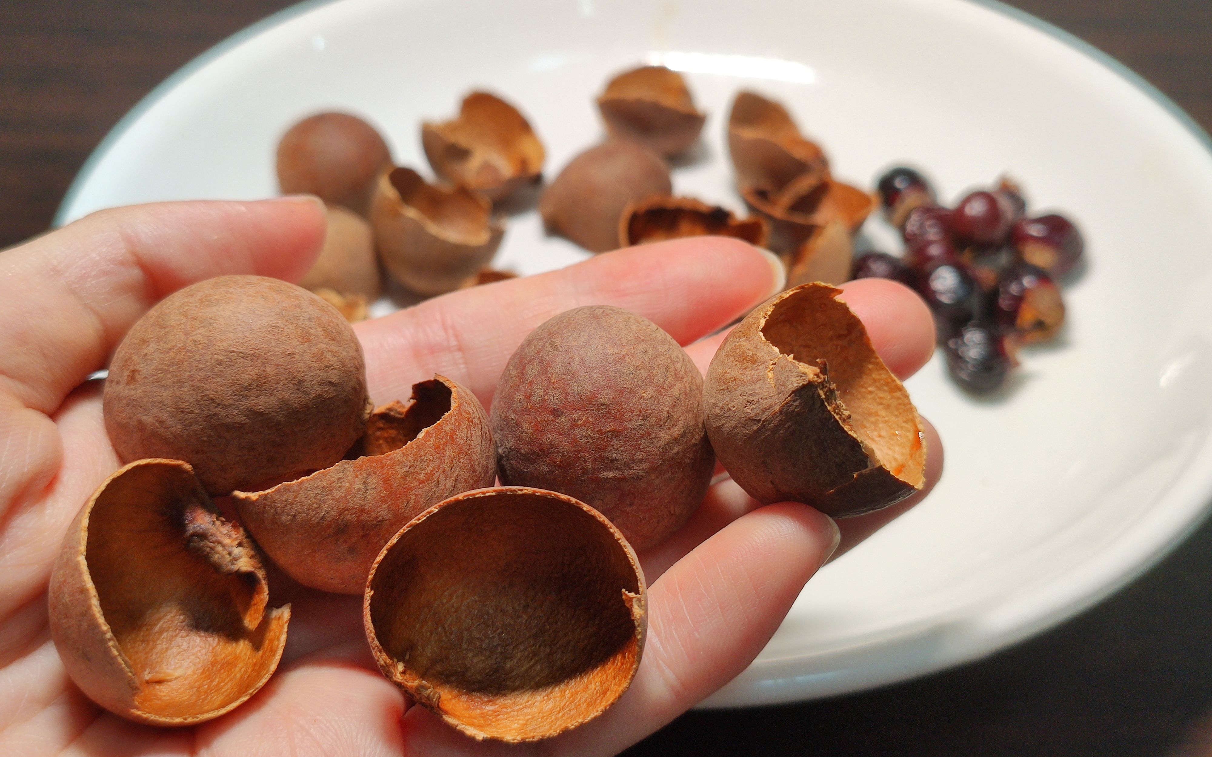 桂圆壳不要再扔掉了,懂的人把它当宝,解决很多朋友的困扰,实用