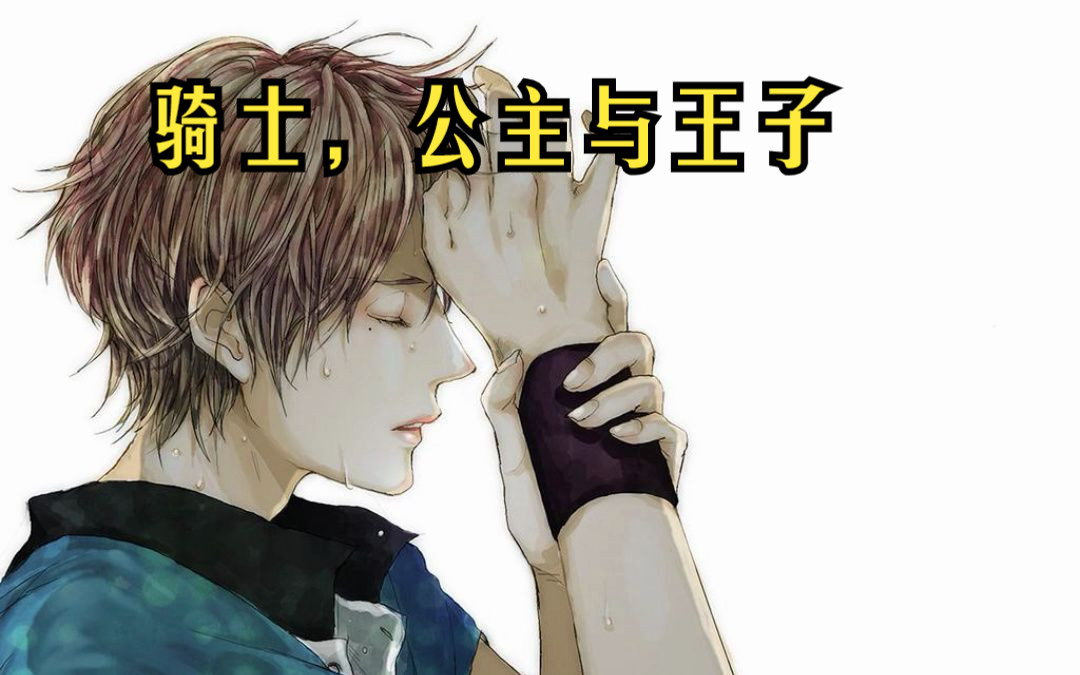 骑士,公主和王子