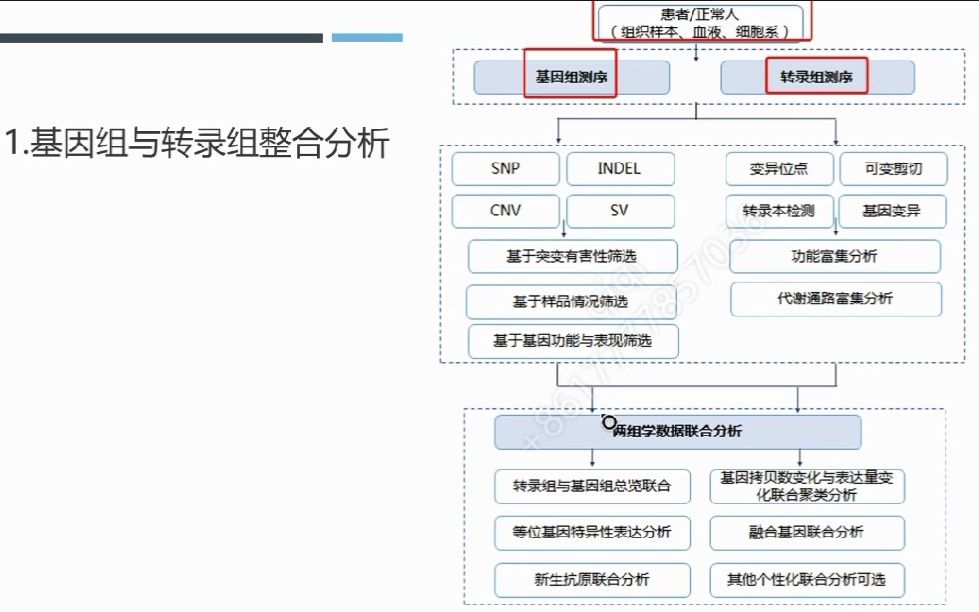 生物医学多组学数据分析挖掘临床应用之基因组和转录组政和分析实操讲解与分享哔哩哔哩bilibili