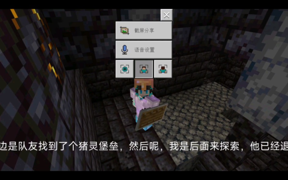联机生存4:探索猪灵堡垒