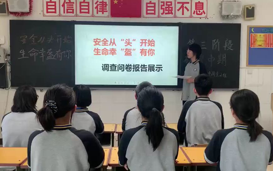 研究性学习——调查结果哔哩哔哩bilibili