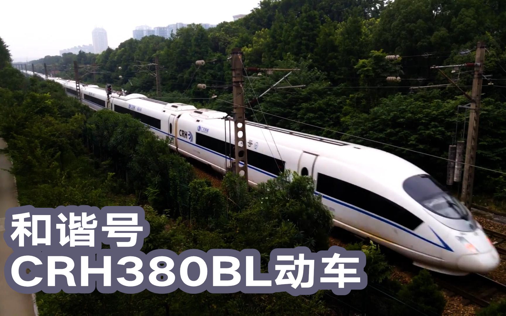 外号长老鼠的和谐号380al动车,郑州东至杭州g1869次接近终点
