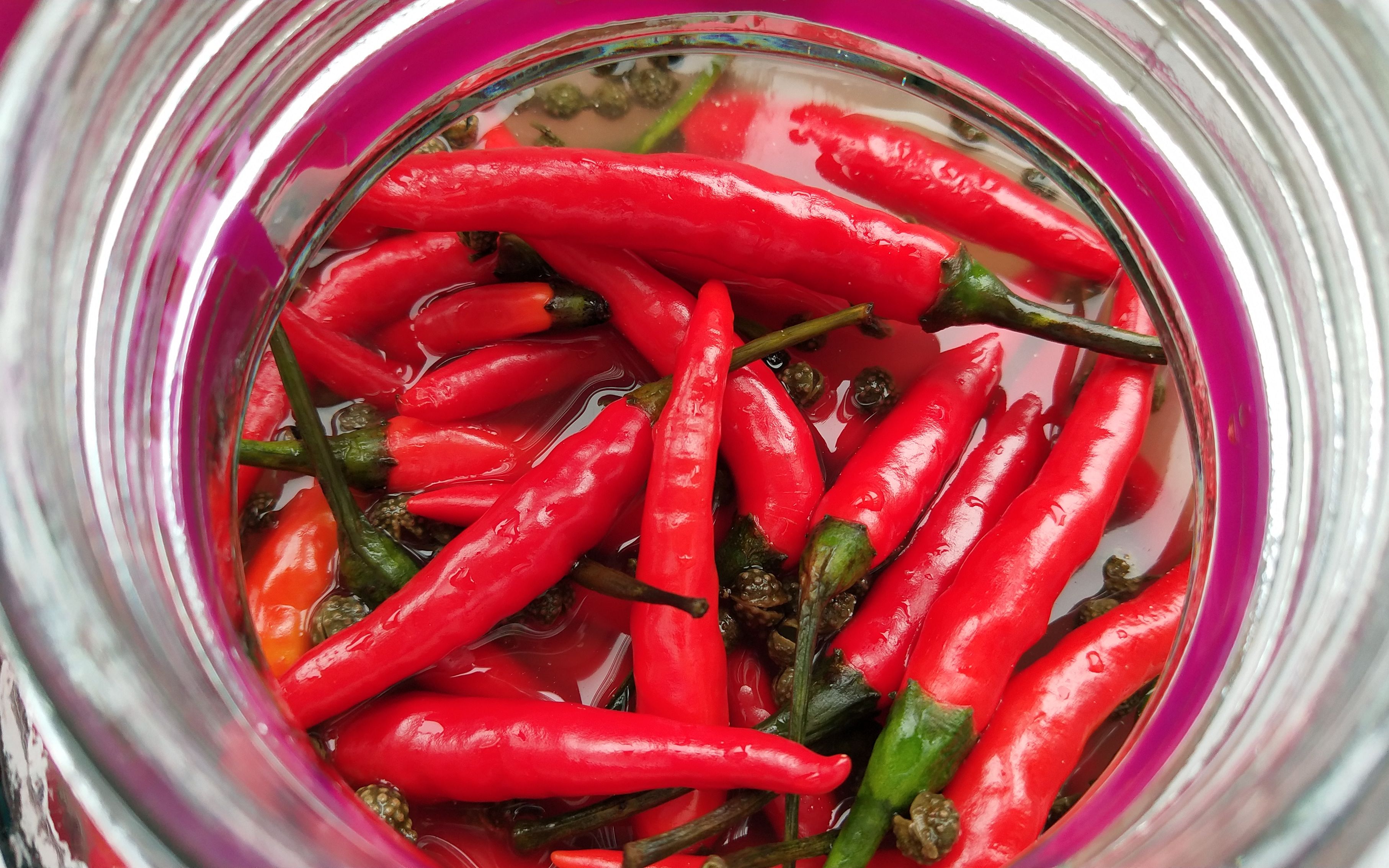 教你做正宗的四川泡海椒,不空心不发软,方法简单,吃一年不怕坏