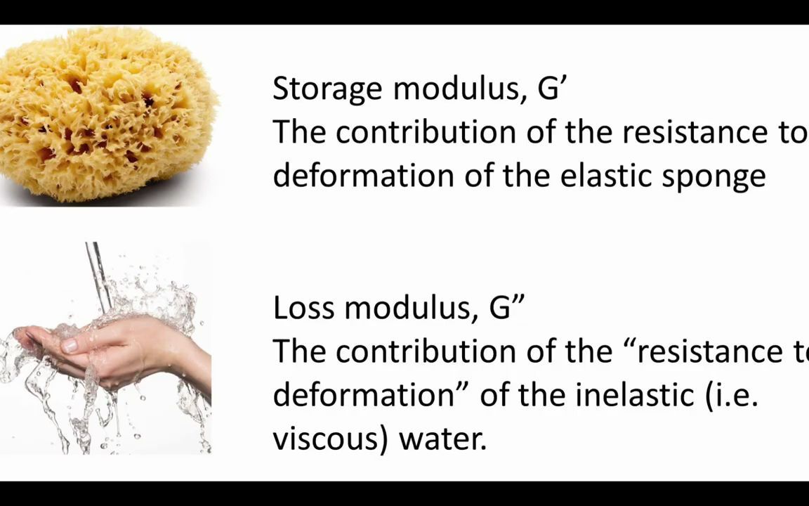 储能模量和耗散模量初识 Storage modulus (G') and loss modulus (G”) for beginners哔哩哔哩bilibili