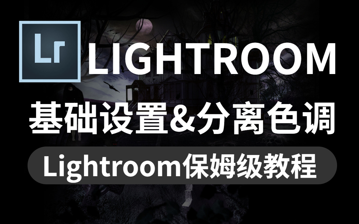 Lightroom基础(保姆)教程,从零到后期大师!!!哔哩哔哩bilibili