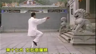 赵幼斌杨式太极拳基本功 哔哩哔哩 Bilibili