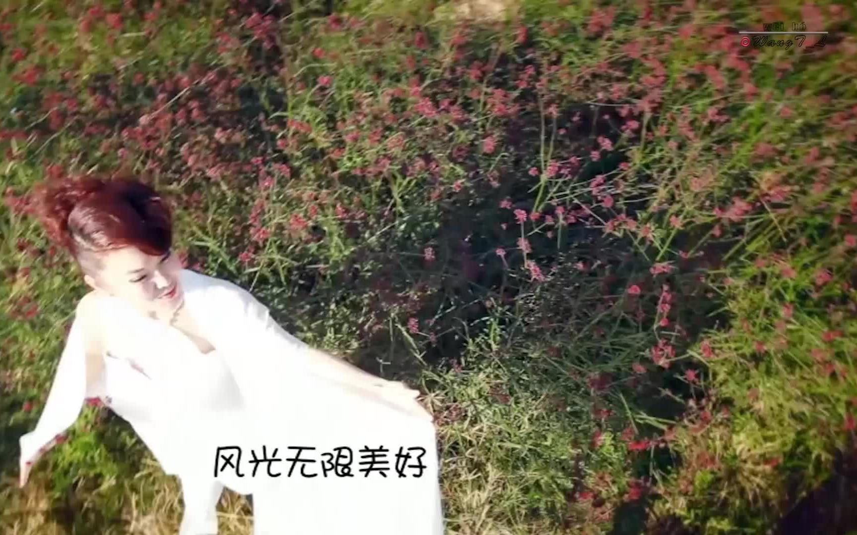 [图]蒙古族之花——乌兰图雅－原香草 MV