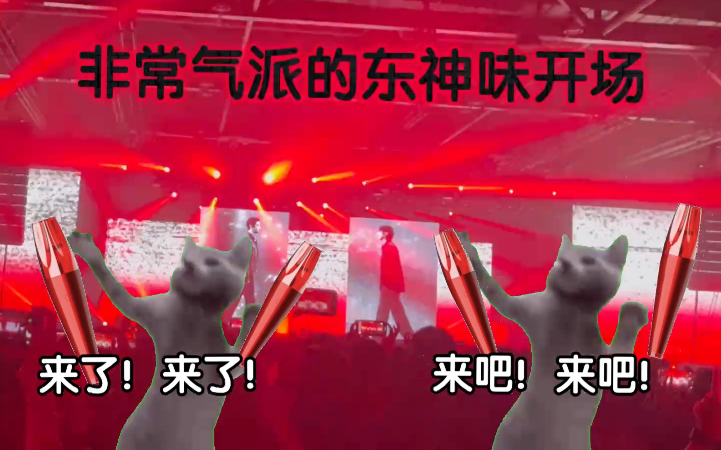 【猫meme】第一次看东方神起演唱会的故事(下)哔哩哔哩bilibili