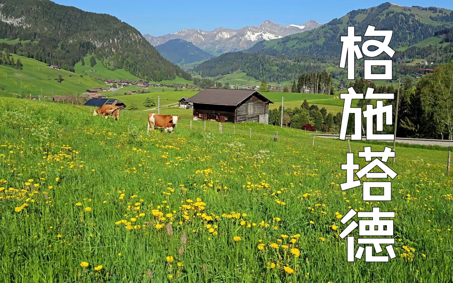 格施塔德 ⷠGSTAAD,瑞士百年奢华度假胜地哔哩哔哩bilibili