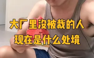 Download Video: 我跟没被裁员的朋友们，聊了聊他们现在在大厂的处境