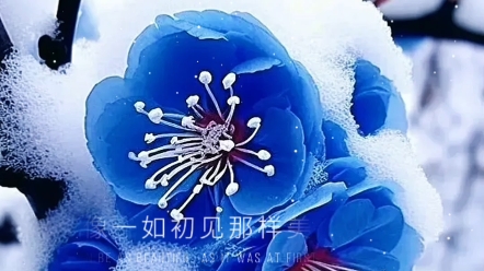 任何关系最美好的大概是那些初识的日子是对彼此不全然的了解,又极度