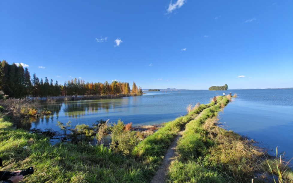 昆明 鲸鱼湾 随拍